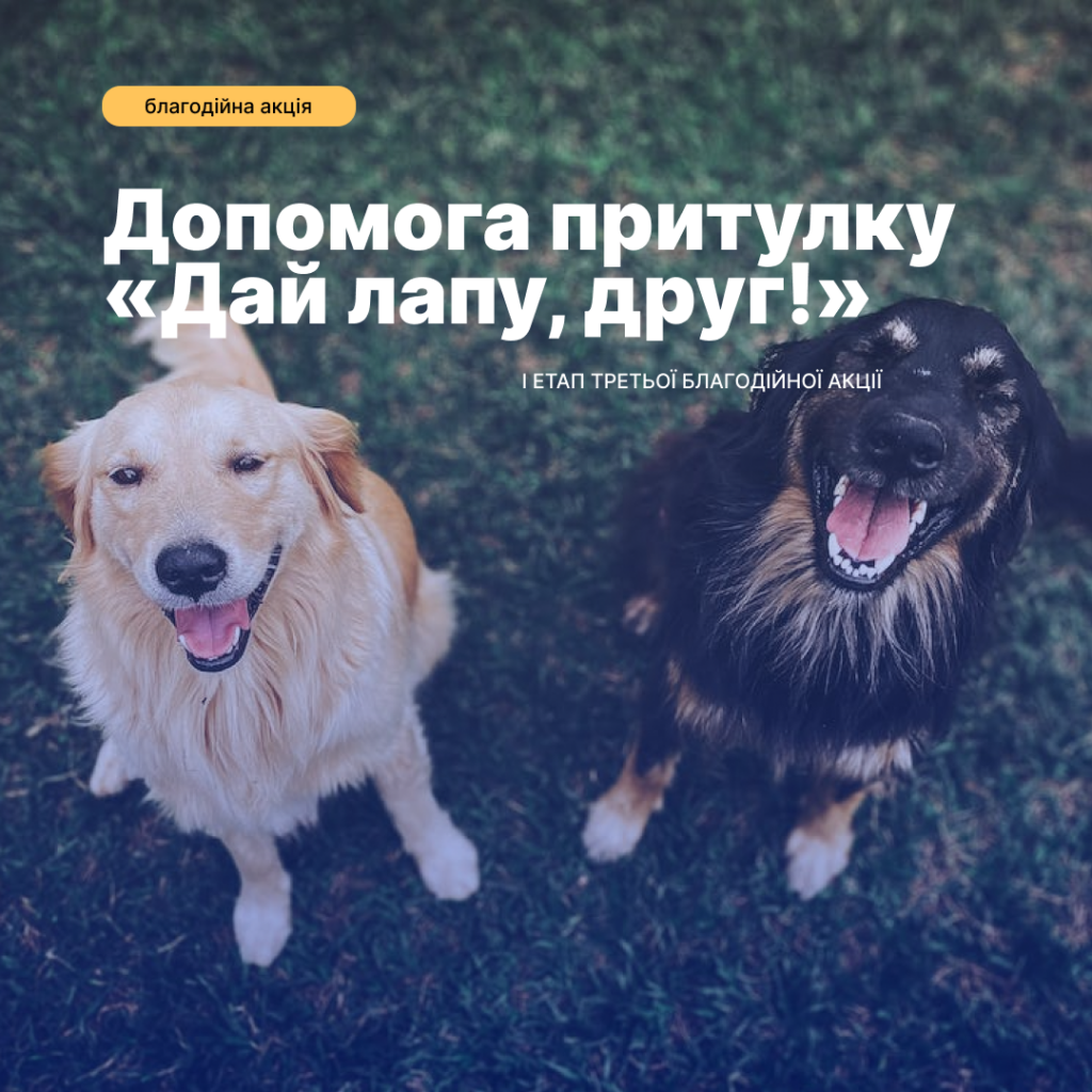 Підсумки I етапу третьої благодійної акції допомоги притулку для безпритульних тварин «Дай лапу, друг!»