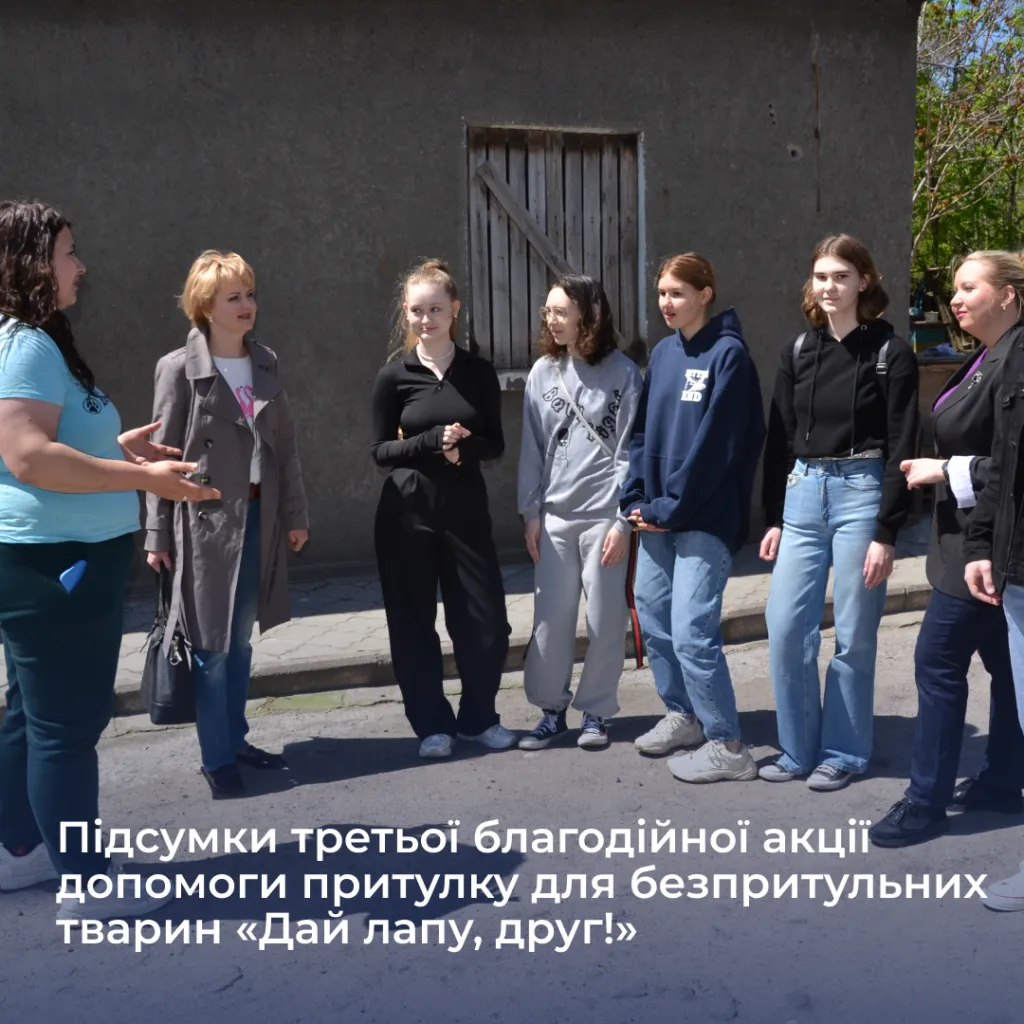 Results of the second stage of the third charity campaign to help the shelter for stray animals «Give me a paw, friend!»