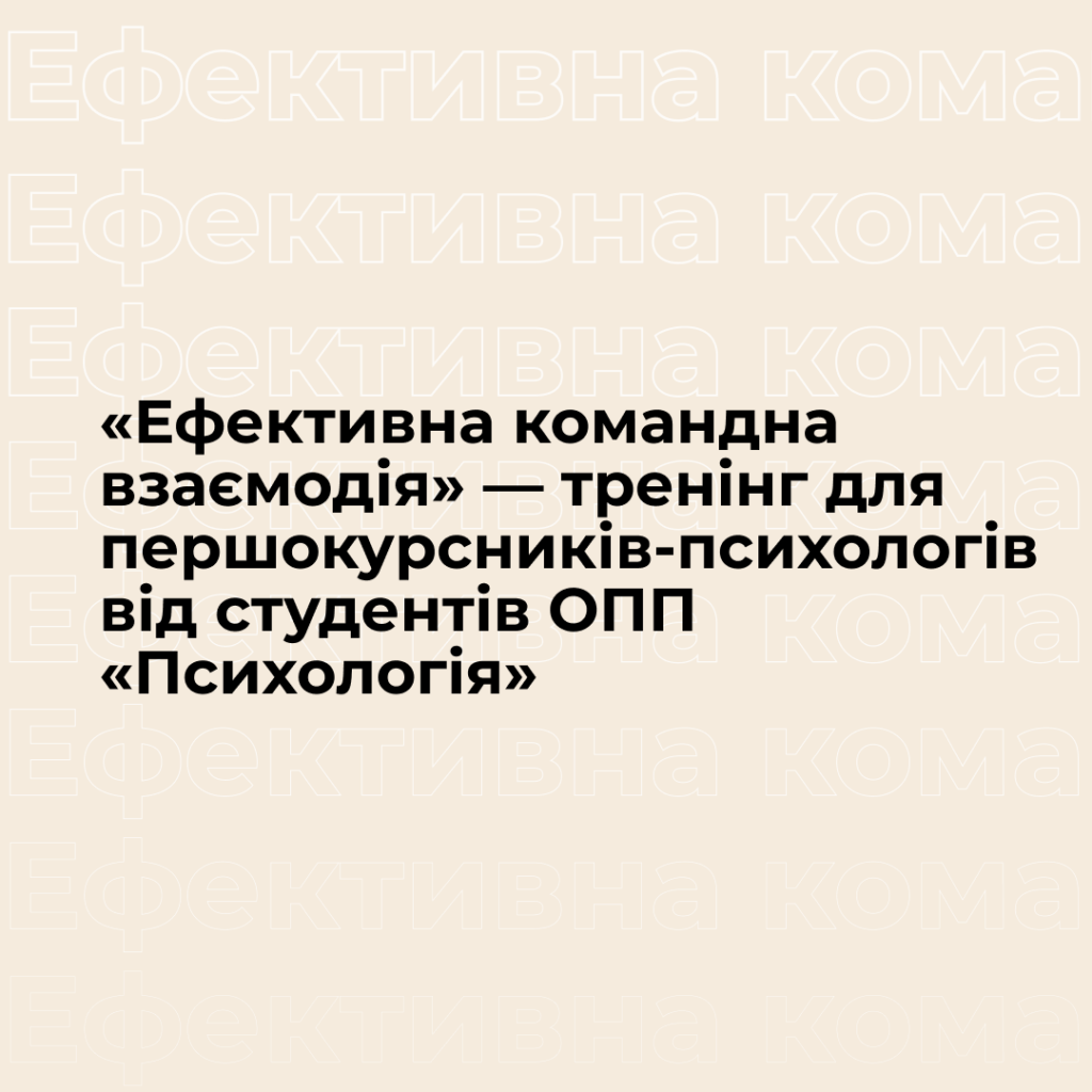 «Effective Teamwork» – training for first-year psychologists from students of the Psychology Department