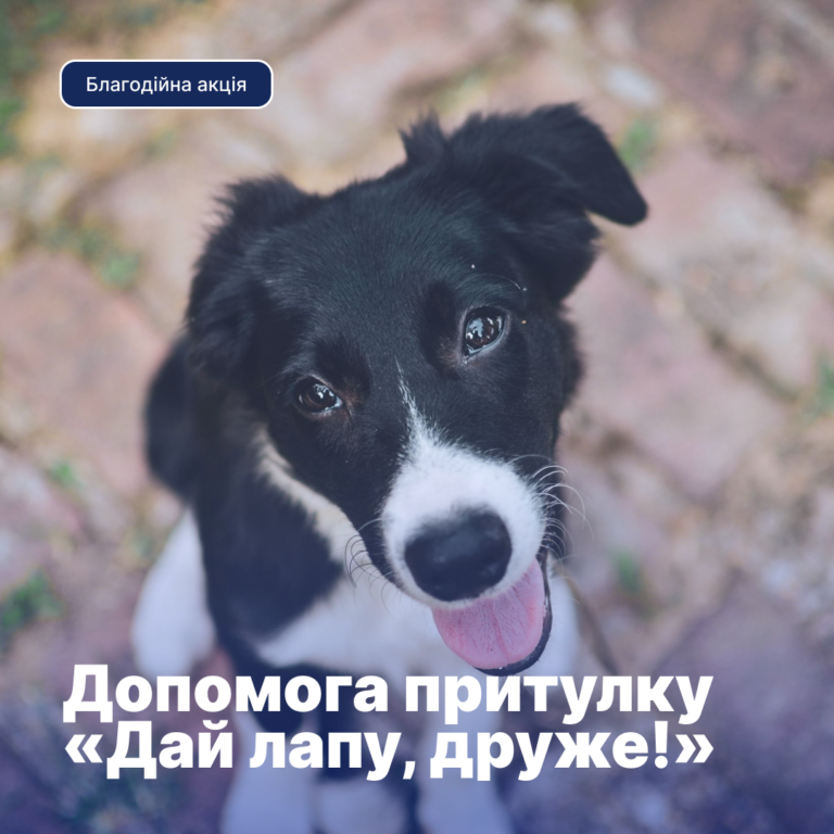 V Благодійна акція «Допомога притулку для безпритульних тварин «Дай лапу, друже!»