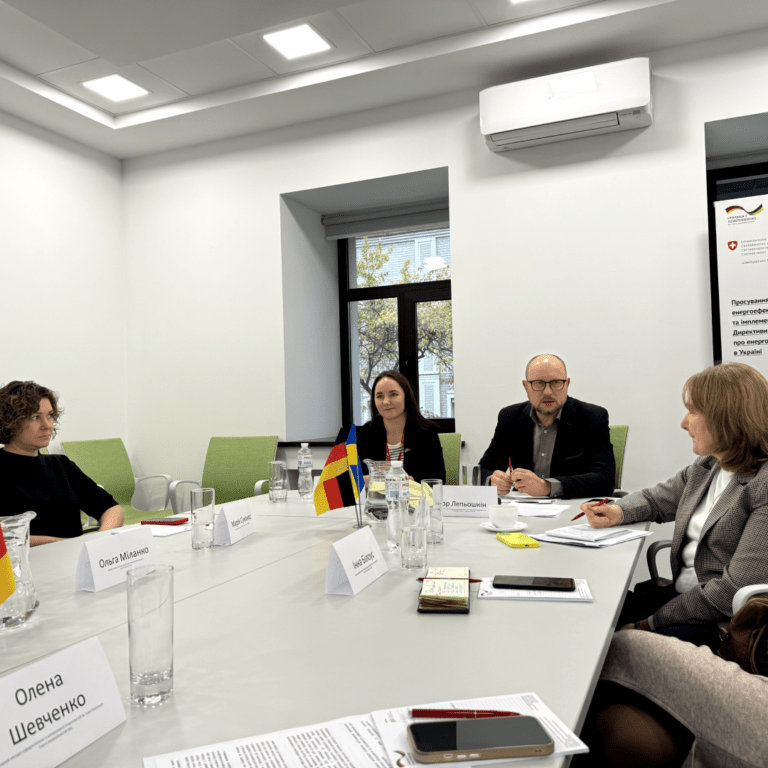 Круглий стіл «Розвиток мережі Енерго-Інноваційних хабів для відновлення України. Виклики та напрями підтримки»
