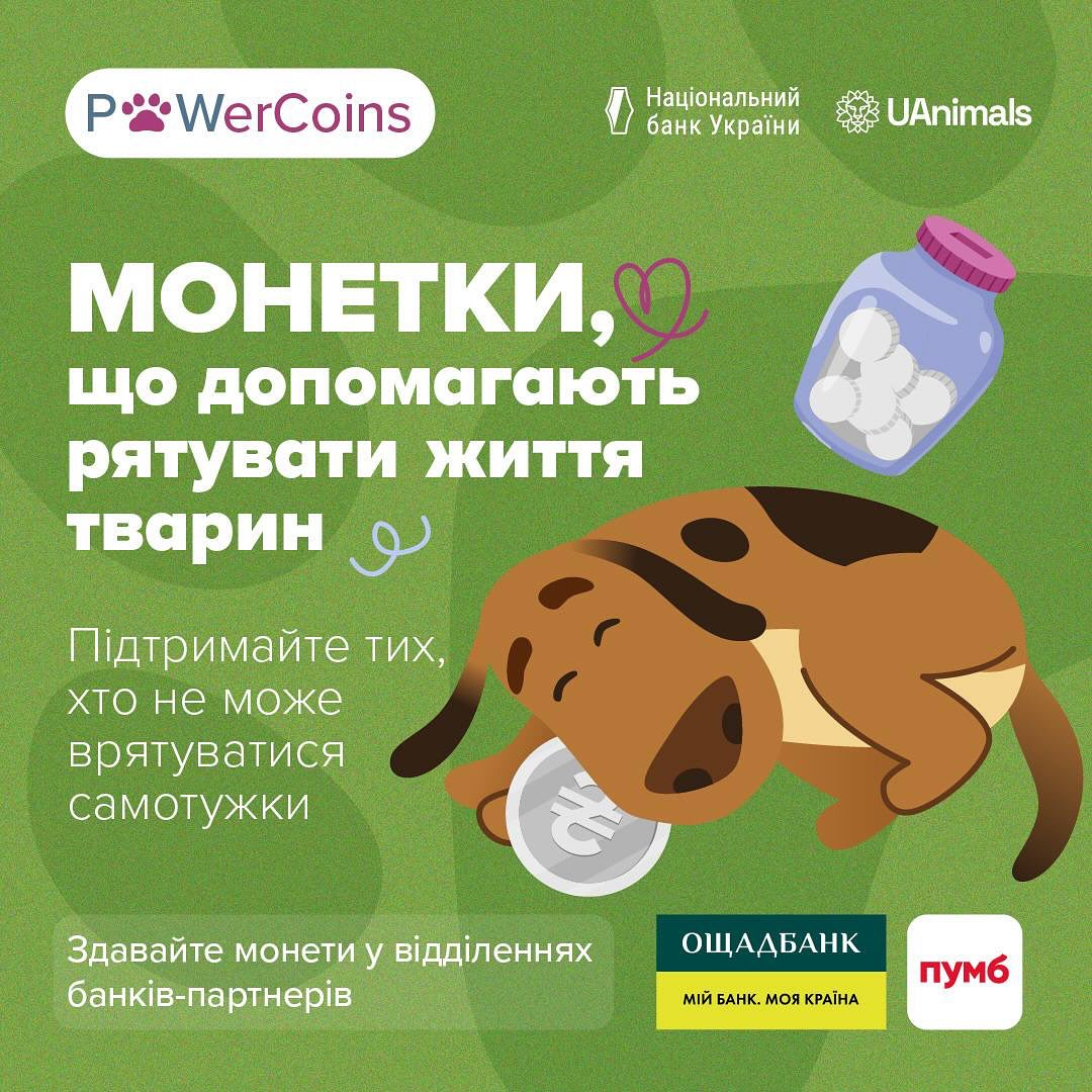We invite schoolchildren, college and university students, as well as all educators to participate in events as part of the #PowerCoins charity campaign!
