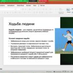 I Міжнародна науково-практична конференція «Сучасні аспекти фізичної терапії та ерготерапії: досягнення, проблеми, шляхи вирішення»